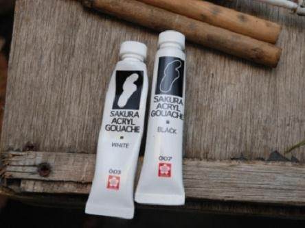 图解 演示杜松盆景怎么制作的21个过程