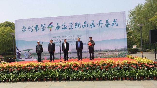 园林处在泰州市第四届盆景精品展中获得佳绩