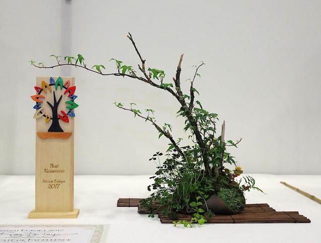 2017年欧罗巴盆景展  获奖盆景