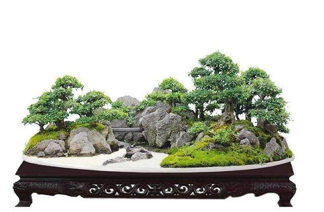 购买Hollow Creek盆景的常见问题