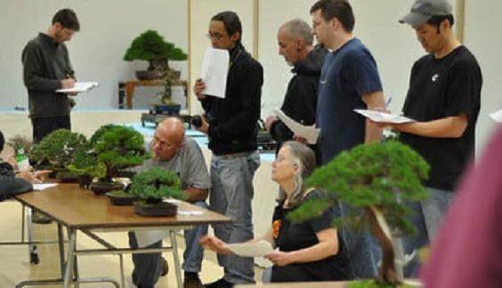 2009年 湾岛盆景协会举办第十届年度盛会