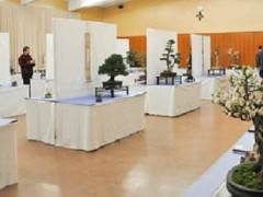 湾区盆景协会在加州奥克兰举行第27届年度展