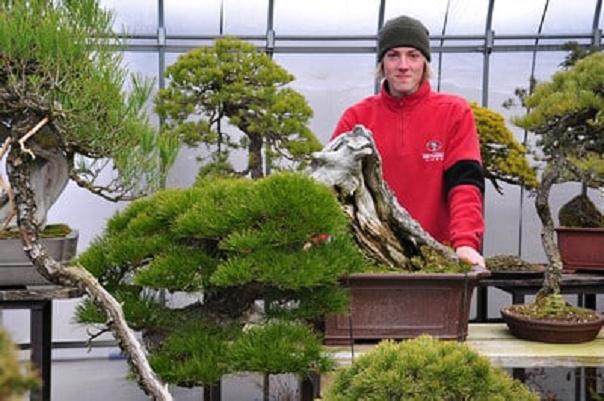 日本大观盆景博物馆