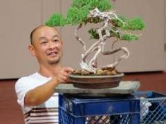 日本国府获奖盆景艺术家Akio Kondo评论