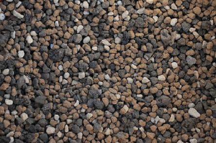 如何安全的让盆景度过冬季?