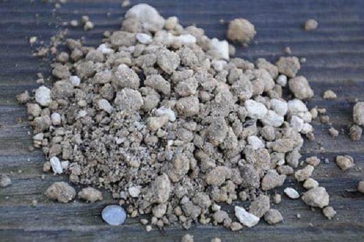 图解 如何安全的让盆景度过冬季