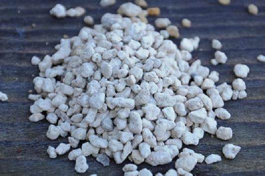 图解 如何安全的让盆景度过冬季