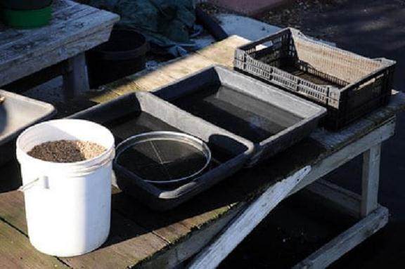 图解 如何安全的让盆景度过冬季