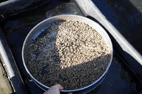 图解 如何安全的让盆景度过冬季