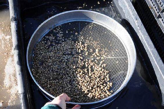 图解 如何安全的让盆景度过冬季