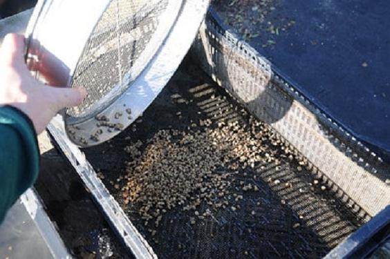 图解 如何安全的让盆景度过冬季