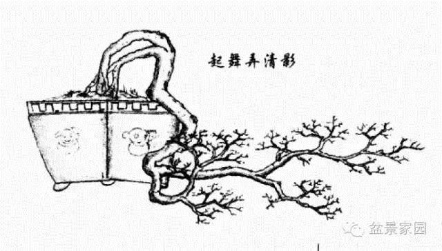 岭南盆景的提根临水型与双杆大树型