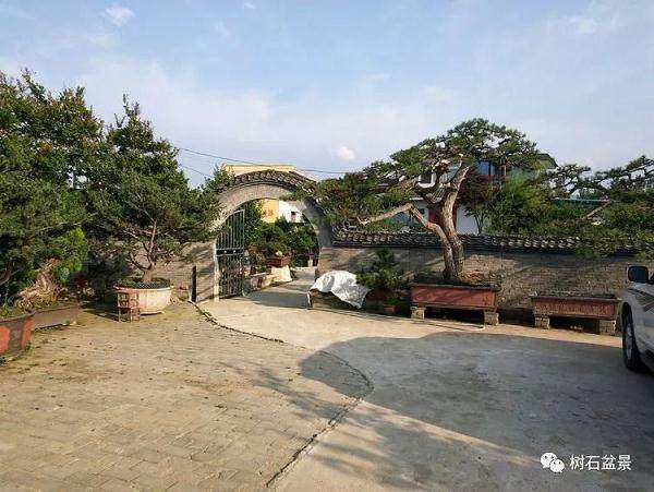 河南盆景协会工作会议