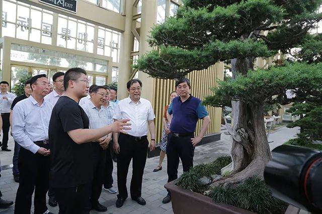 青海省政协领导来园艺城考察花木盆景产业