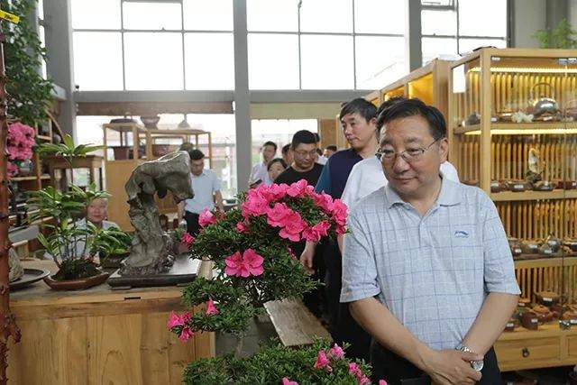青海省政协领导来园艺城考察花木盆景产业