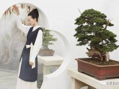 传统盆景与现代妆容的融合