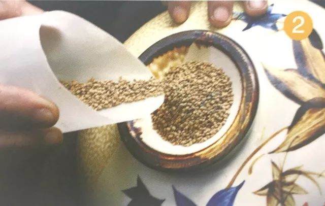 图解 青苔盆景怎么制作的8个过程