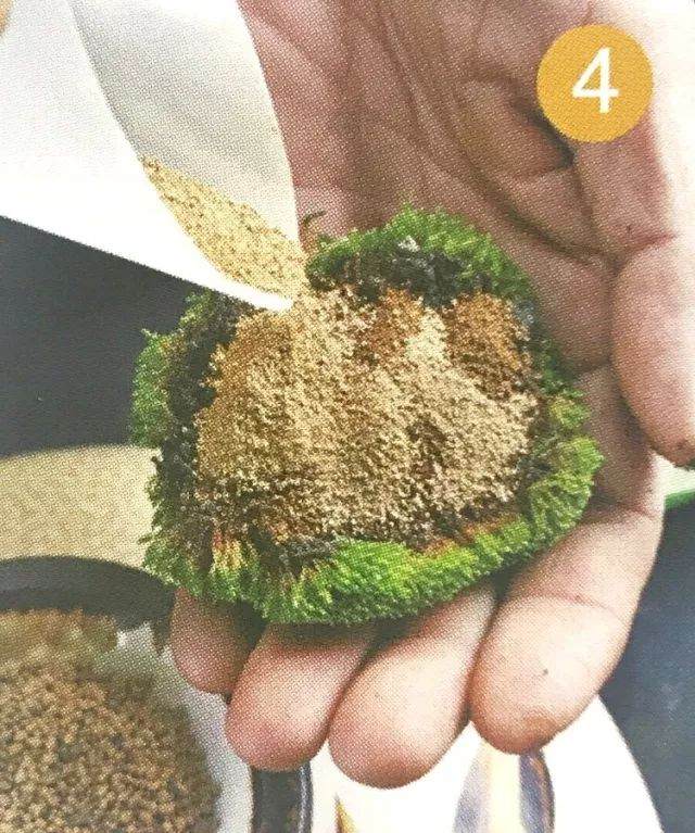图解 青苔盆景怎么制作的8个过程