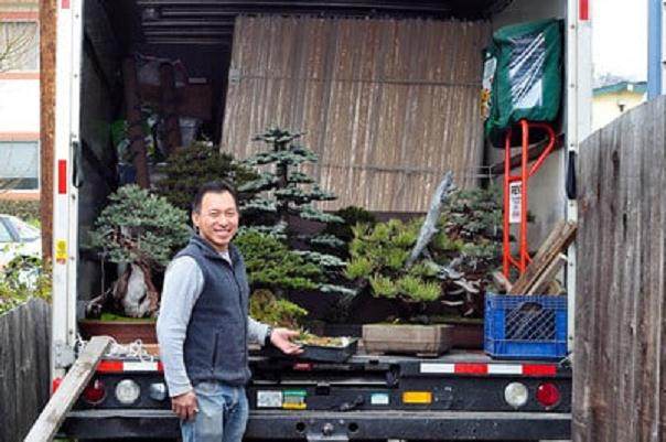 图解 进行盆景展示需要什么准备工作