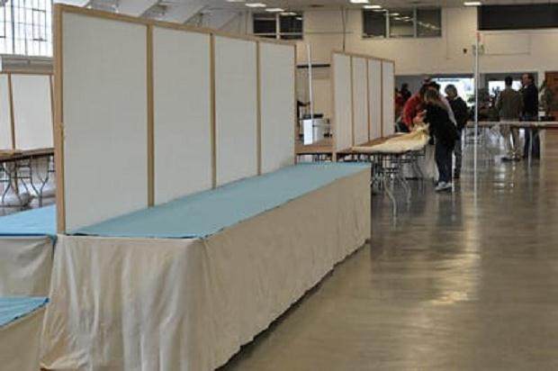 图解 进行盆景展示需要什么准备工作