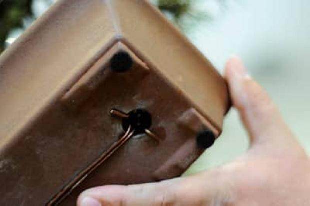 图解 进行盆景展示需要什么准备工作