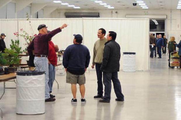 图解 进行盆景展示需要什么准备工作