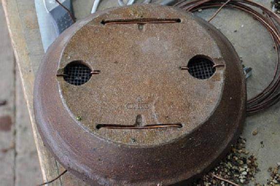 西方杜松盆景怎么翻盆的16个过程