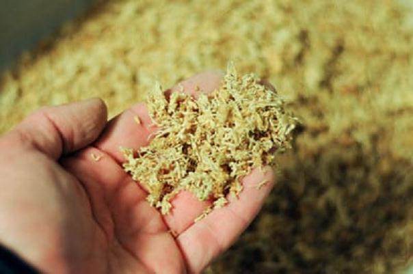 怎么制作盆景苔藓的15个过程