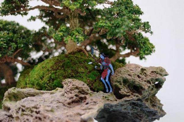 图解 丛林盆景怎么制作的8个过程