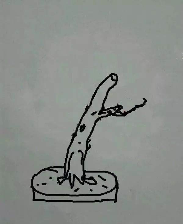 图解 盆景怎样修剪应的5个注意事项