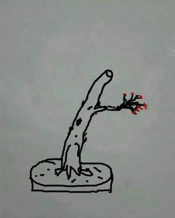 图解 盆景怎样修剪应的5个注意事项