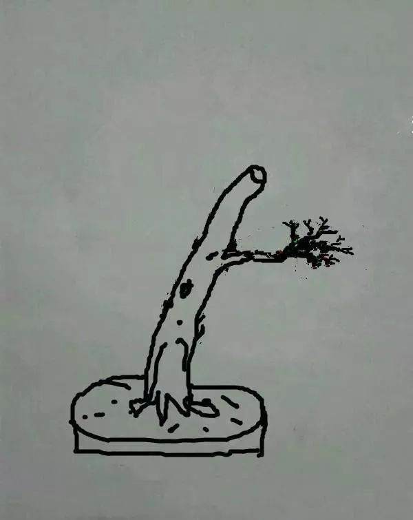 图解 盆景怎样修剪应的5个注意事项