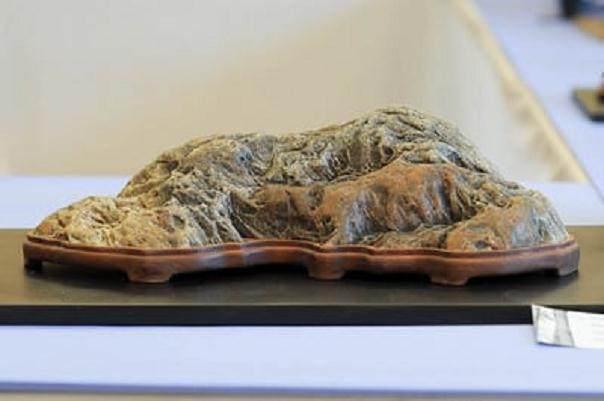 加利福尼亚苏塞基学会第十五年盆景展