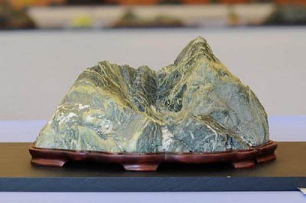 加利福尼亚苏塞基学会第十五年盆景展