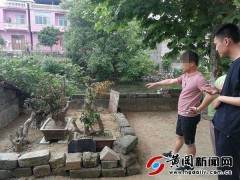 蕲春警方破获一起盗窃盆景案 价值在2000元以上