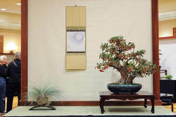 金州盆景联合会第三十三届会议展览