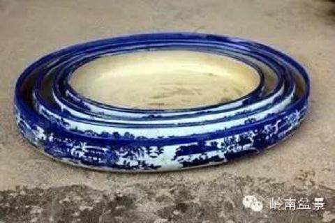 假山盆景怎么选盆的10个方法