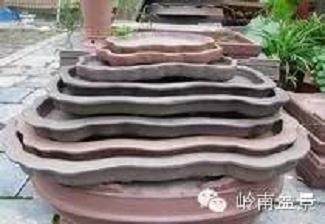 假山盆景怎么选盆的10个方法