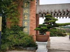 影蛟盆景苑游园记