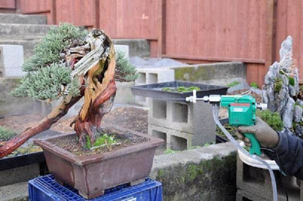 盆景制作好工具：盆景射线枪
