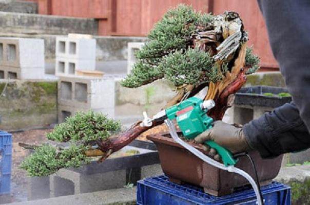图解 盆景制作好工具 盆景射线枪