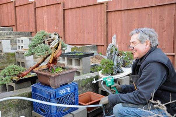 图解 盆景制作好工具 盆景射线枪