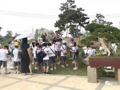 做盆景最重要的就是做造型