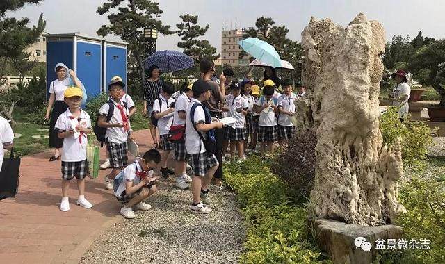 我们乘着车 来到了鸿江盆景园