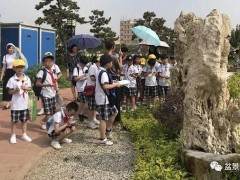 我们乘着车 来到了鸿江盆景园