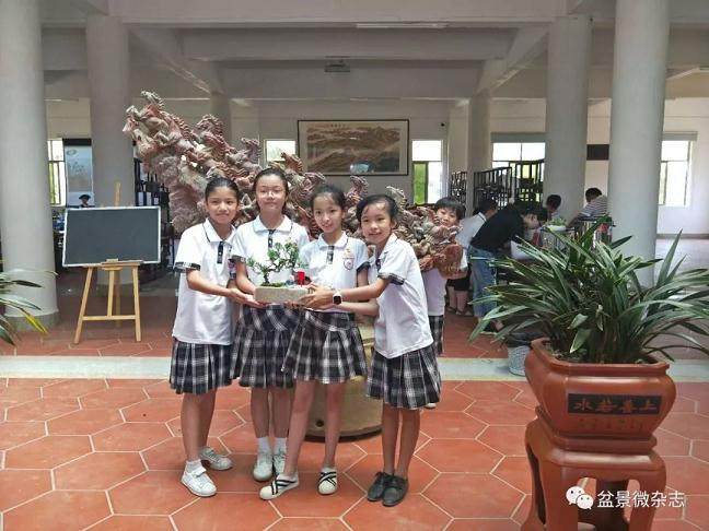 我们吟诵着旬子的诗句走向了鸿江盆景园