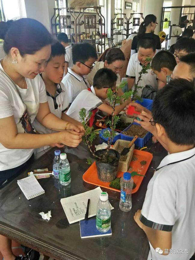 春风习习 老师带我们来到了鸿江盆景植物园