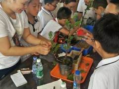 春风习习 老师带我们来到了鸿江盆景植物园