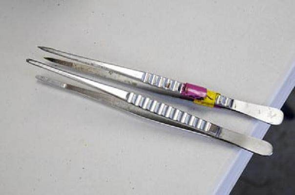 盆景工具镊子怎么使用的3个技巧