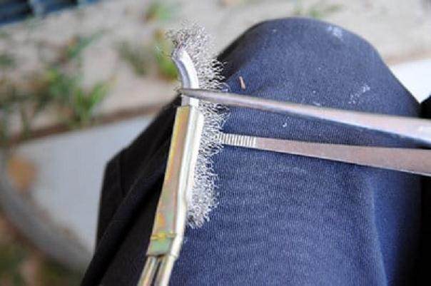 图解 松树盆景针叶怎么修剪的方法